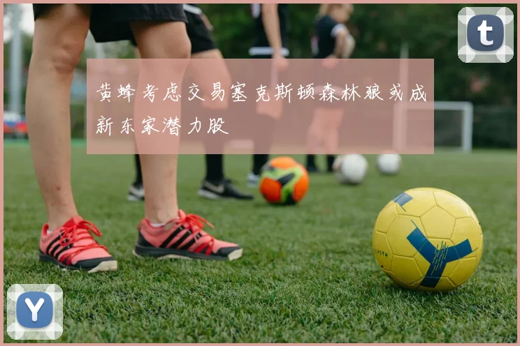 黄蜂考虑交易塞克斯顿森林狼或成新东家潜力股