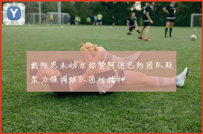 戴维恩米切尔称赞阿德巴约团队凝聚力强调球队团结精神