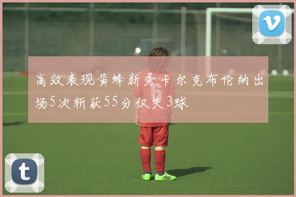 高效表现黄蜂新秀卡尔克布伦纳出场5次斩获55分仅失3球